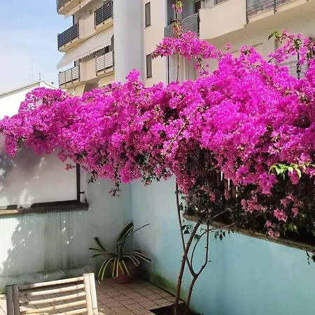 Gardenhouse Un Angolo Di Paradiso Pescara