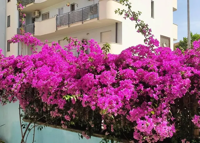 Gardenhouse Un Angolo Di Paradiso 公寓