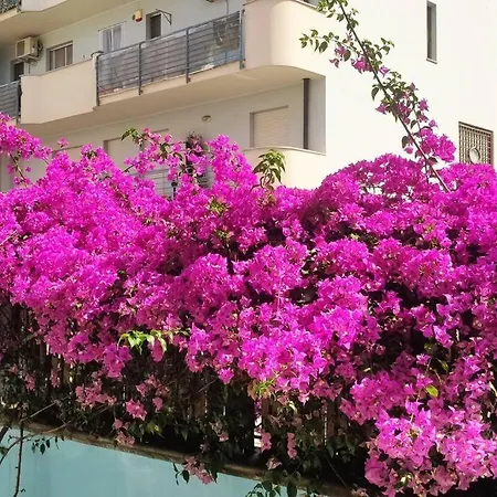 Gardenhouse Un Angolo Di Paradiso Apartment